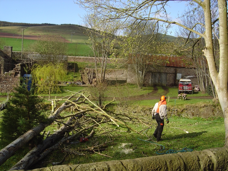 11th April 2009 039